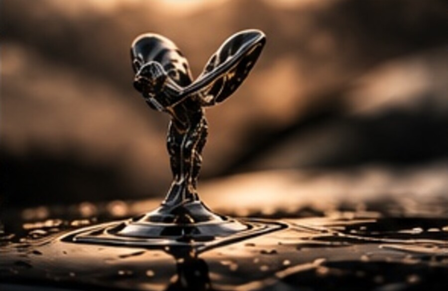 Luxury hood ornament after detailing